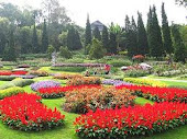 Mae Fa Luang Botanical Garden