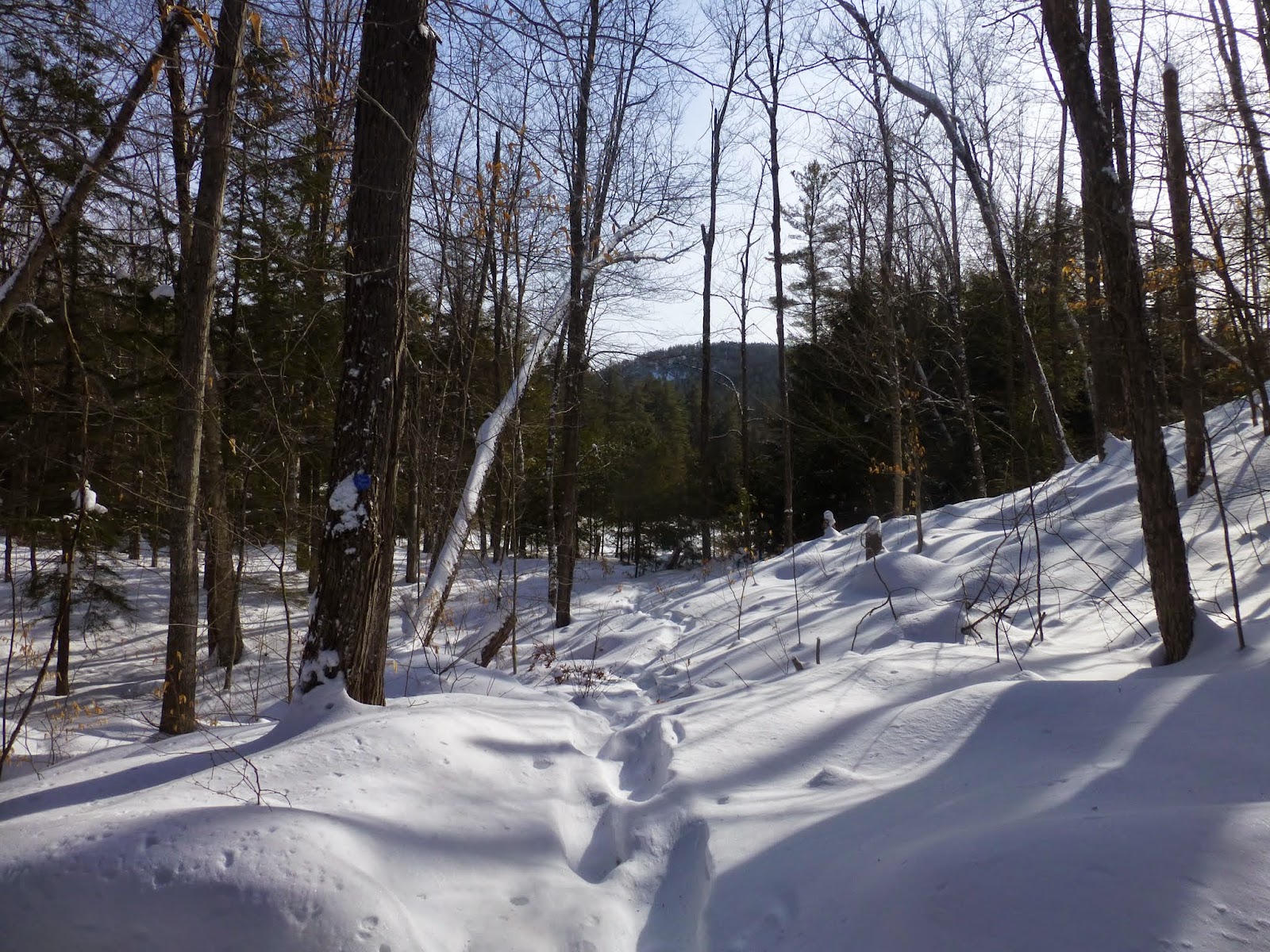 Off on Adventure XC Ski Short Swing Trail to Horseshoe Pond
