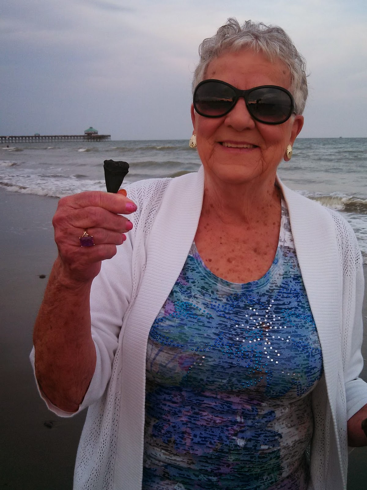 The Egret's Call Tidbit Tuesdays Shark Teeth at Folly Beach