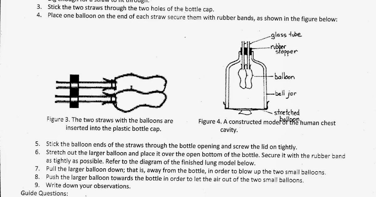 bottled balloons