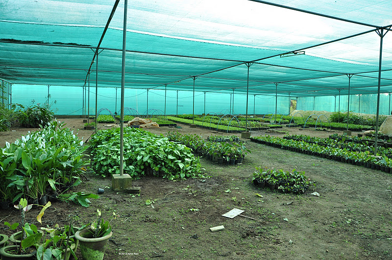 Department of horticulture karnataka