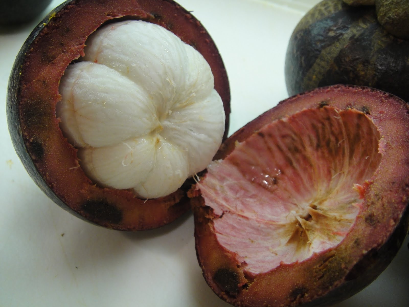 FOODYHOLIC'S Choice MANGOSTEEN