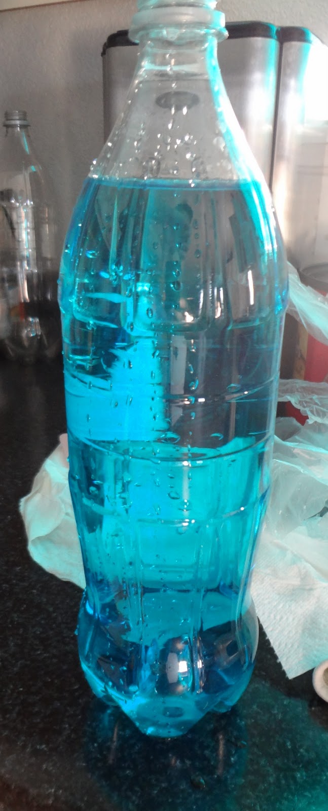 Time for Play Jellyfish in a Bottle