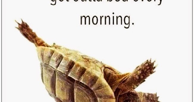 Happy Thursday Quotes with Photos | Words of Wisdom - Wikitanica