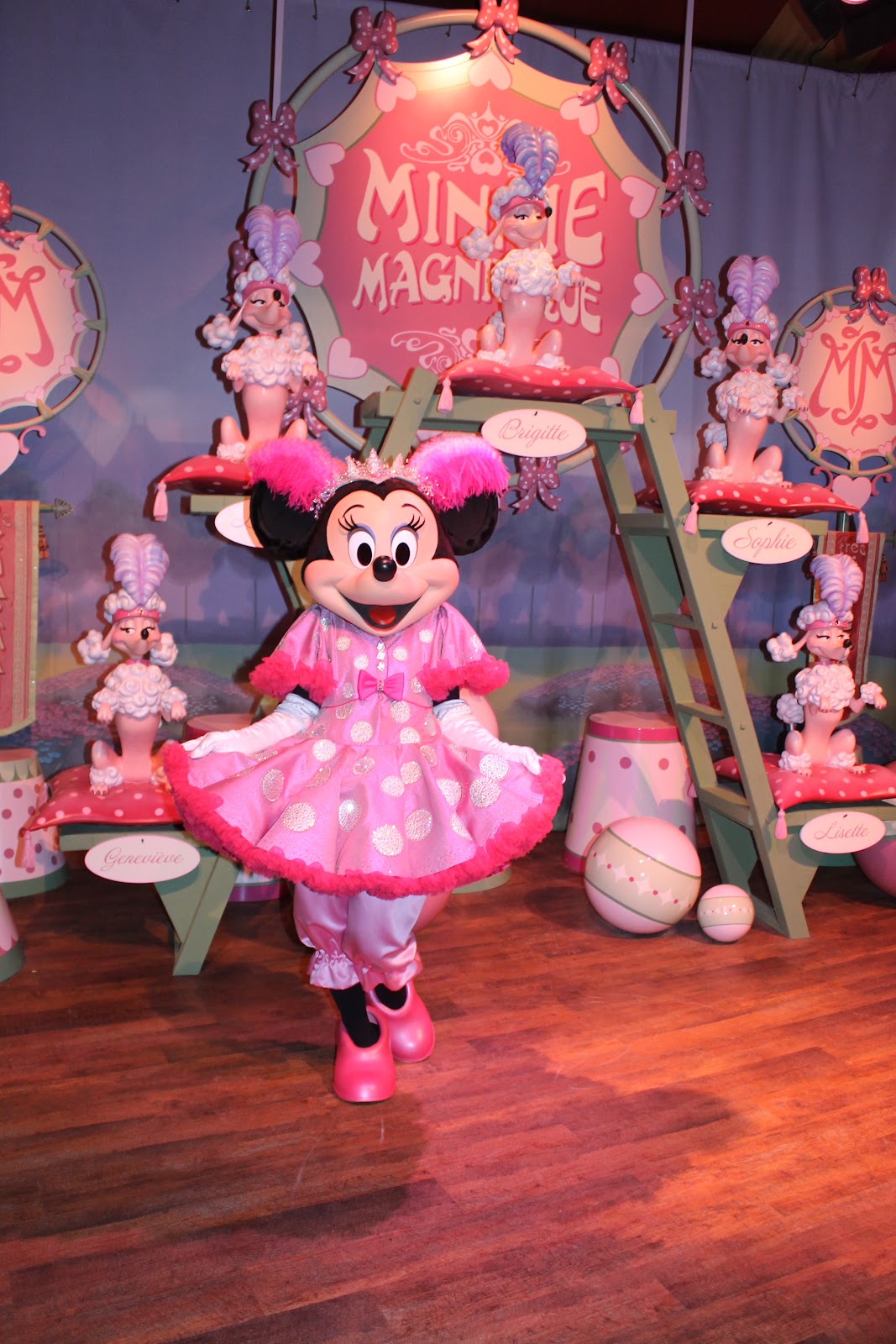 Unofficial Disney Character Hunting Guide: Magic Kingdom Characters