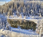 Winter Morice River