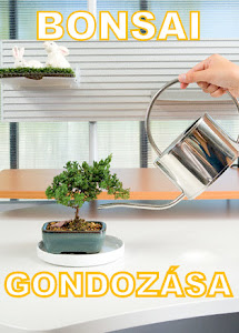 BONSAI GONDOZÁSA - KATT A KÉPRE!