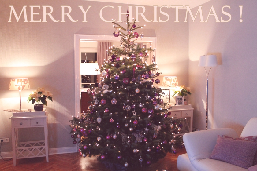 dazzled: Dezember 2012