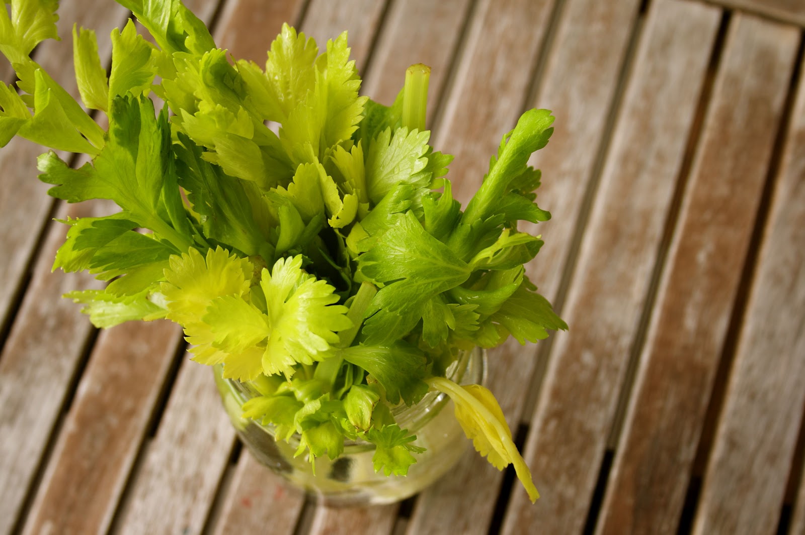 Experience the Wonderful. kitchen tips celery tops.