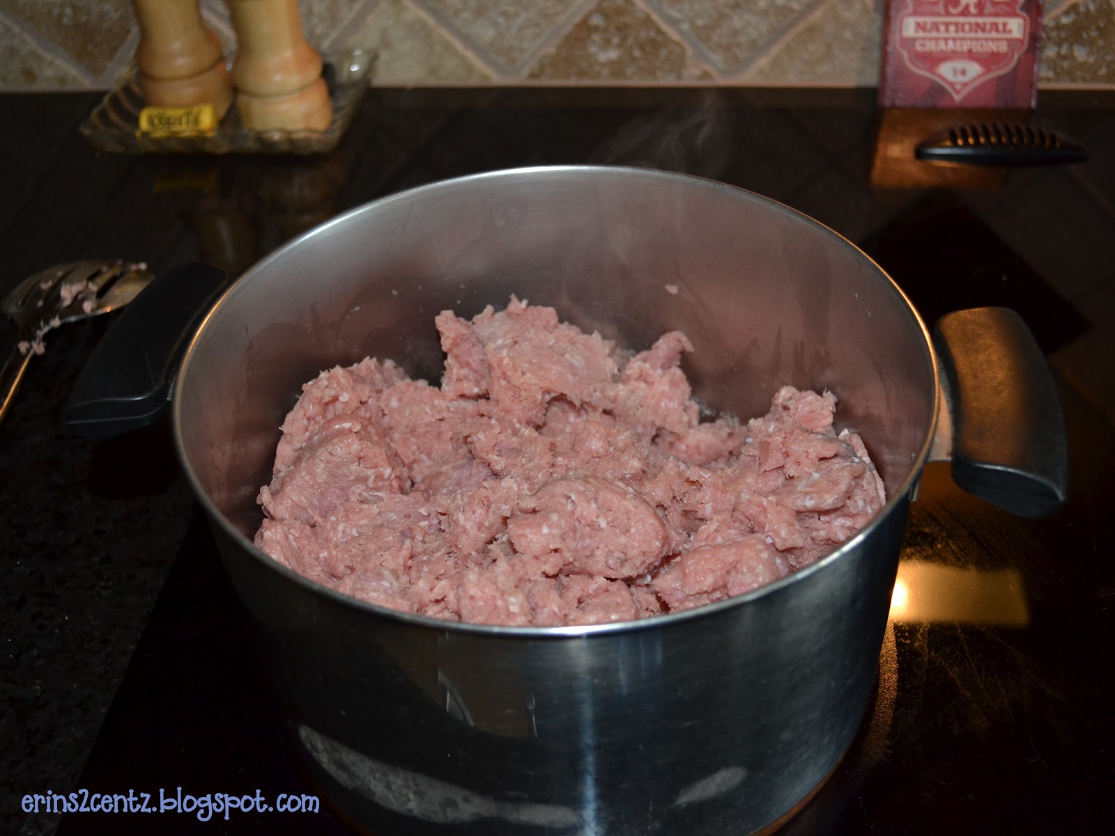 Erin's 2 Cents Buying Ground Turkey in Bulk