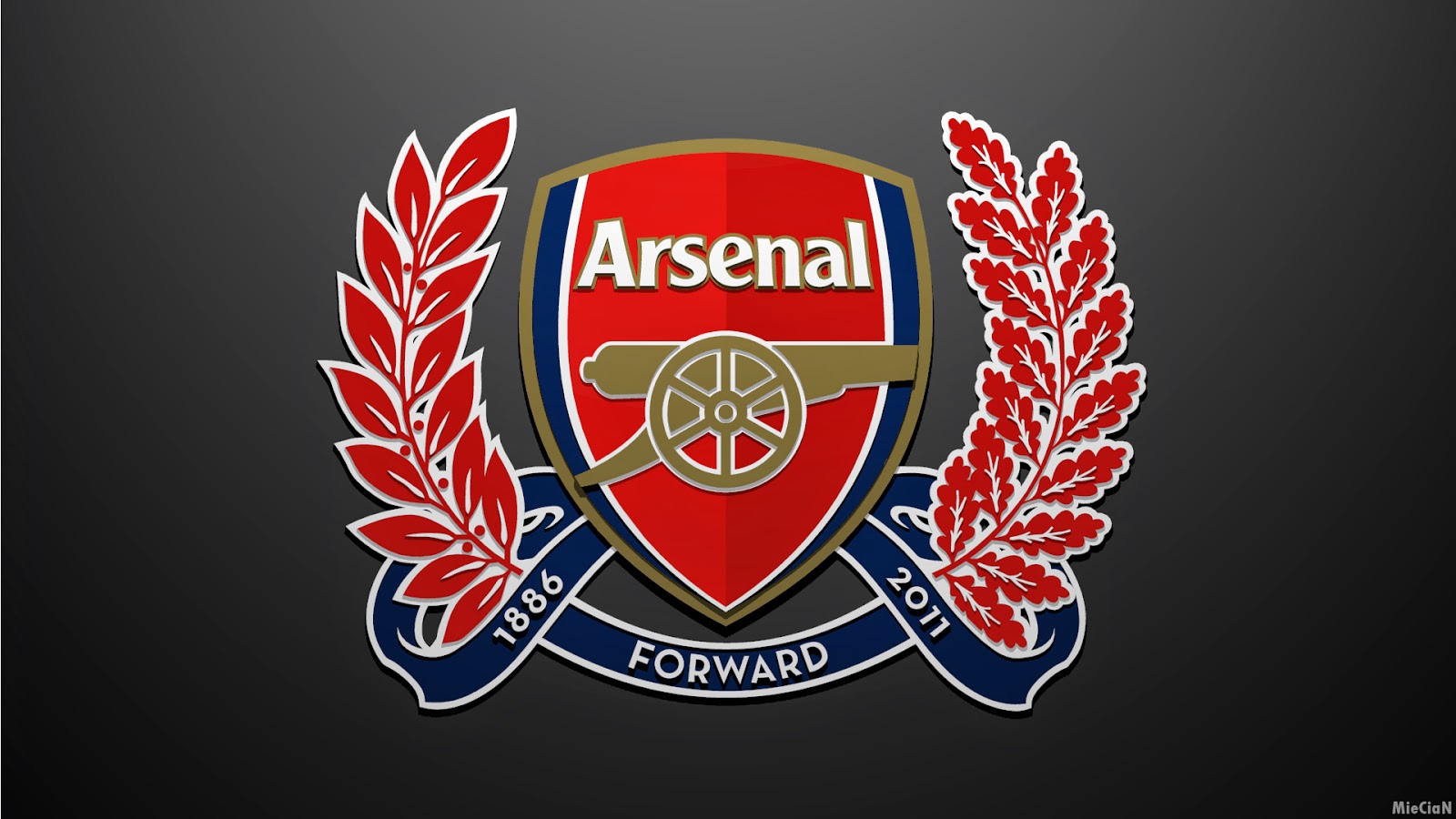 Arsenal Football Club Wallpaper Football Wallpaper HD
