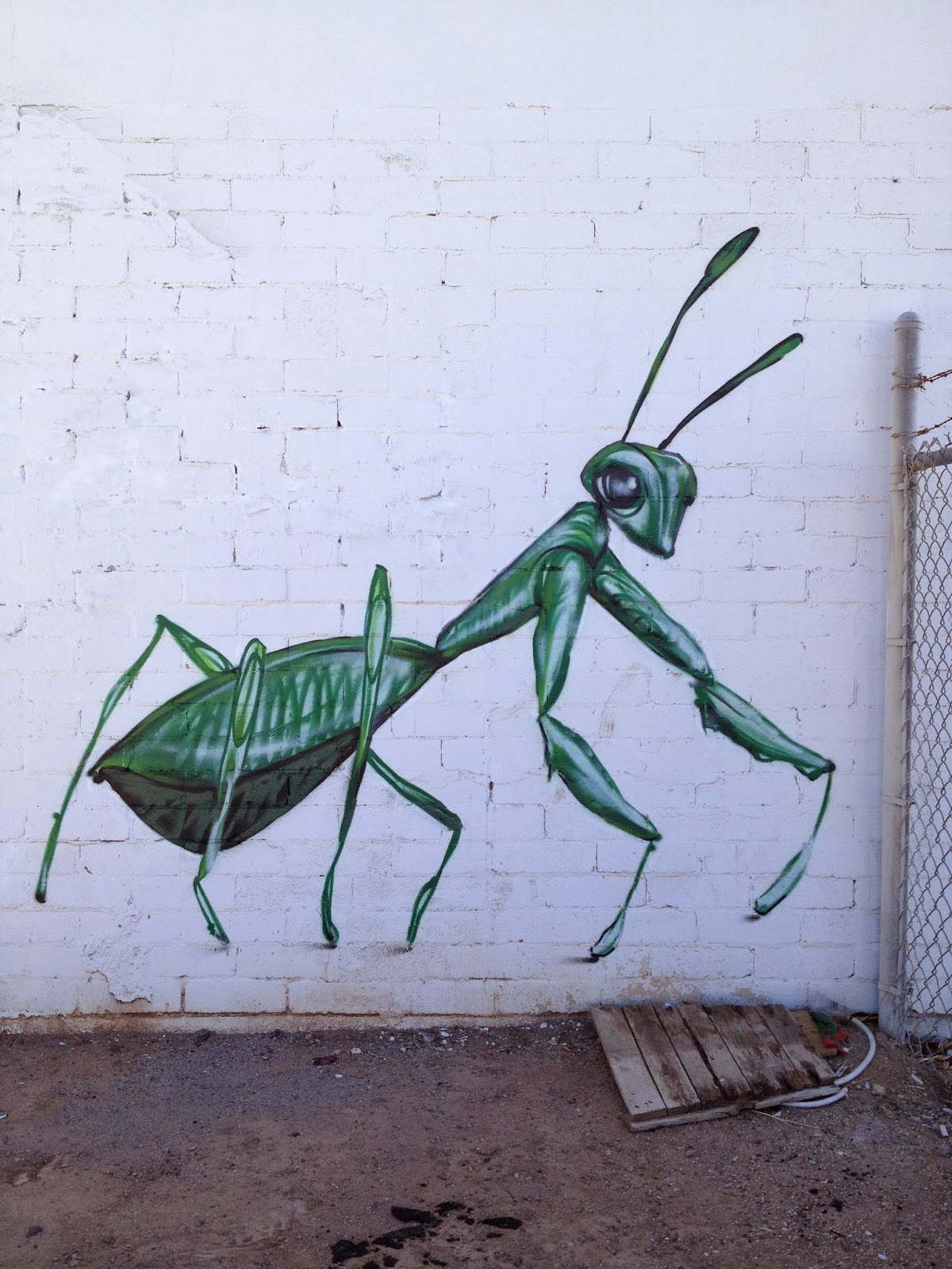 PaperTurtle Phoenix Graffiti Art