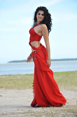 South-Actress-Tapasee Pannu-Photoshoot