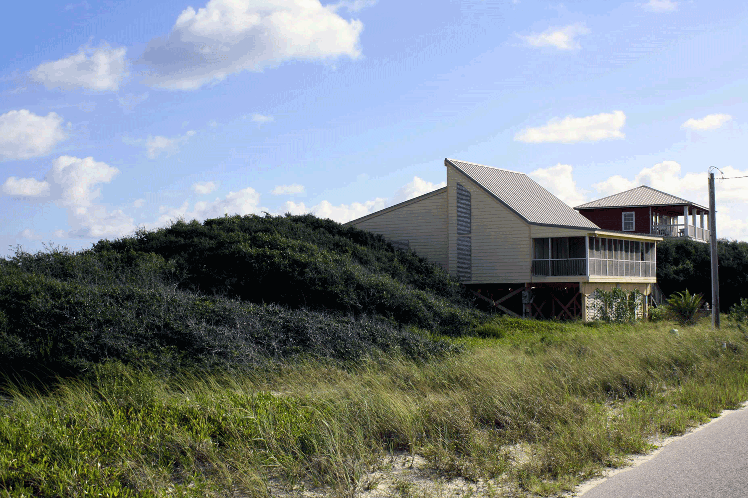 grounded design by Thomas Rainer: What If There Was No Landscaping?