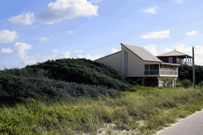 grounded design by Thomas Rainer: What If There Was No Landscaping?