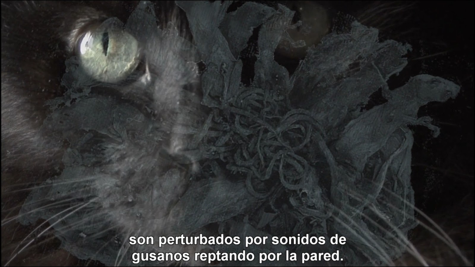 Amazoncom: Twist: Dive Bar, Book 2 Audible Audio Edition