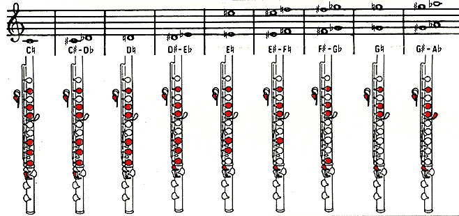 flute fingers