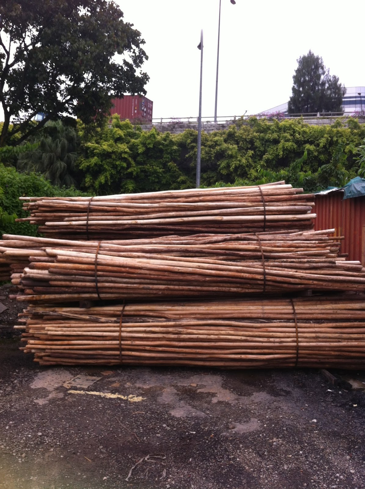 Piling Wood Meaning In Urdu at Gina Walker blog