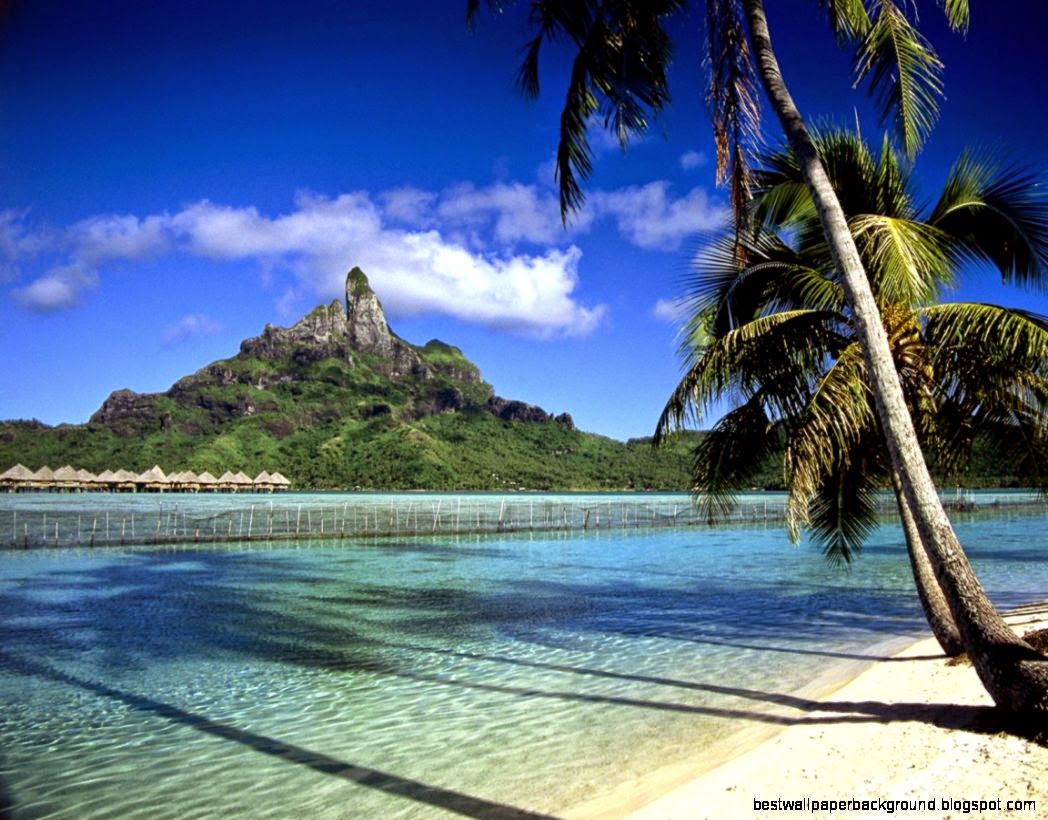 3d summer screensavers wallpaper
