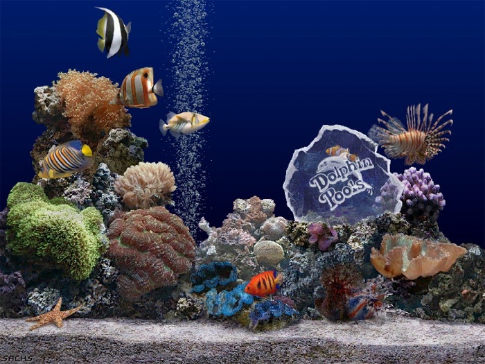 fish tank wallpaper hd | My Wallpaper Home