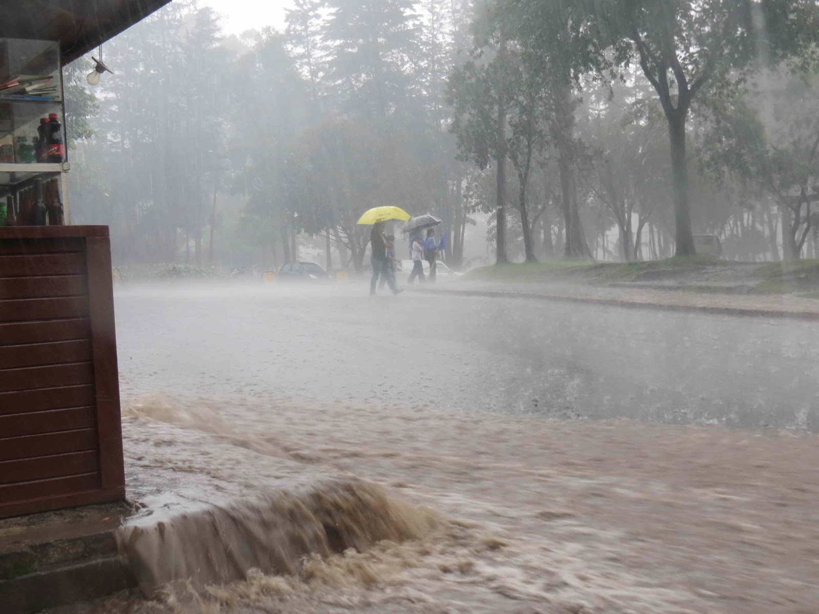 Mike's Bogota Blog It's Raining Again!