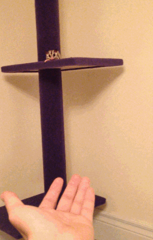 Funny animal gifs - part 83 (10 gifs), sugar glider tries to jump from top of shelf to owner hand but fail