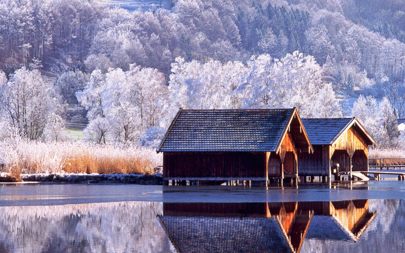 winter scenery backgrounds