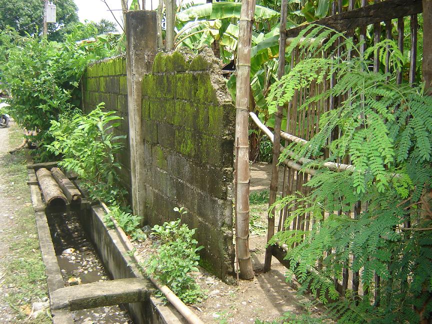 Semideveloped Lot For Sale Mapandan Pangasinan Reynan8 FastLane