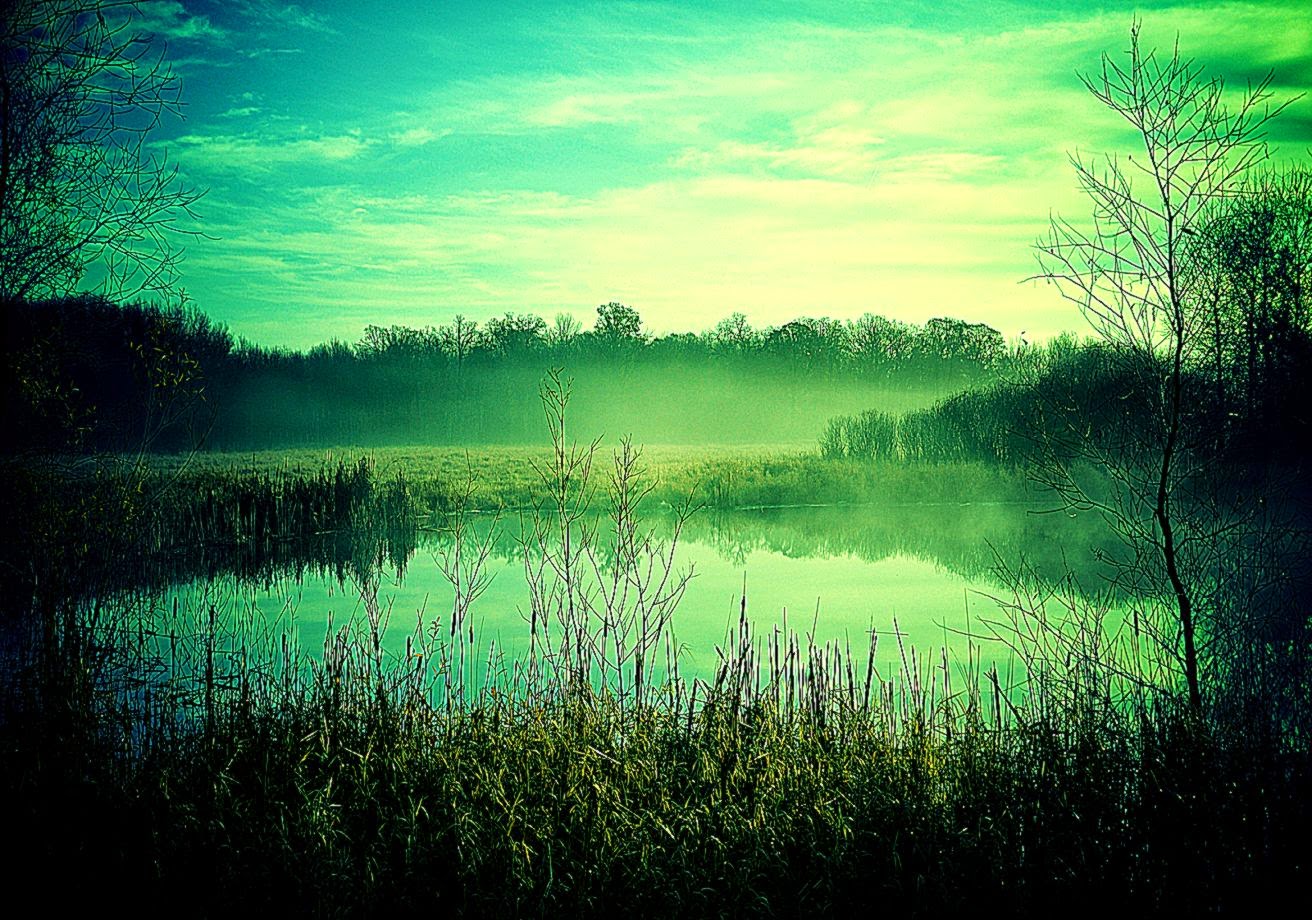 Desktop Backgrounds Desktop Wallpapers Free HD Wallpapers Desktop Backgrounds Desktop Wallpapers Free HD Wallpapers