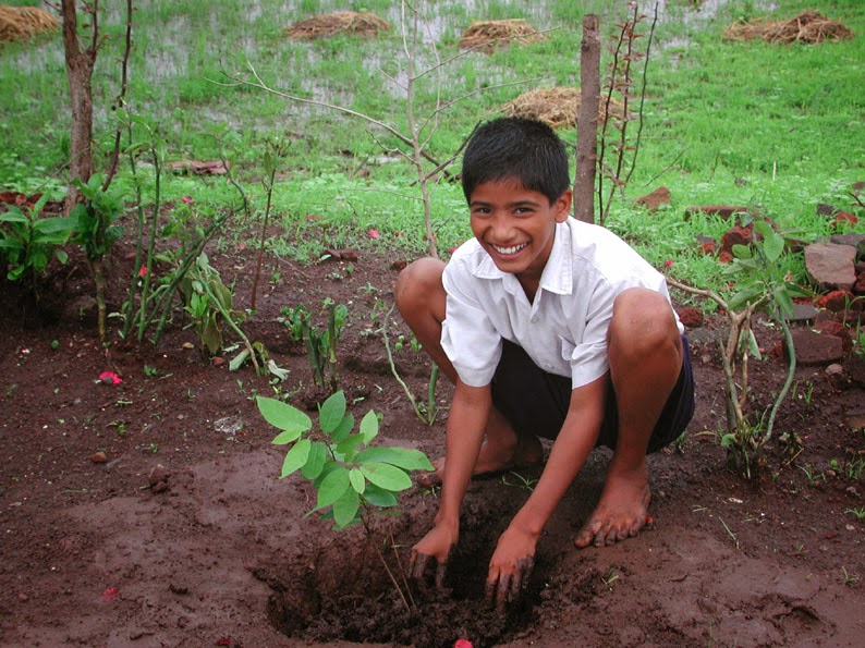 essay on tree plantation day Free essays on tree planting if an individual has an opportunity to plant a tree, even if he knows the day of judgment is imminent, let him plant the tree. essay on tree plantation day Free essays on tree planting if an individual has an opportunity to plant a tree, even if he knows the day of judgment is imminent, let him plant the tree.