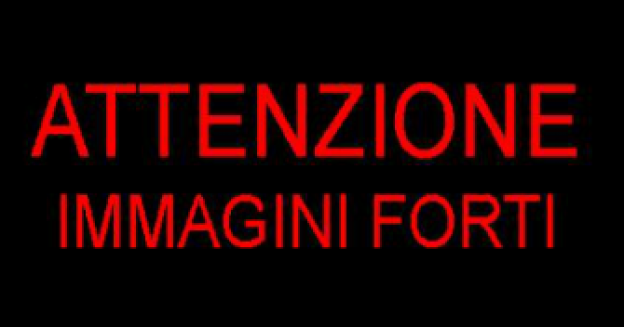 come fare amore orale