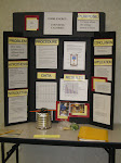 Observations of the 2011 Science Fair: