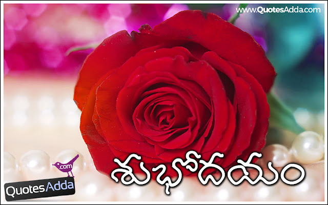 Telugu Good Morning Quotes With Rose Images