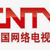 2014-03-06 CNTV (China) Video Interview-New York, NY