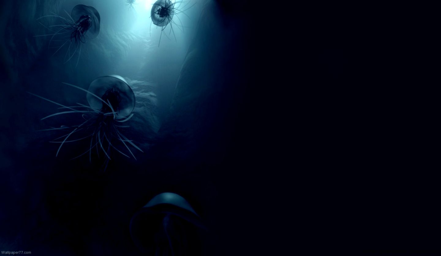 To the Light 1600x900 pixels Wallpapers tagged Fish Wallpapers To the Light 1600x900 pixels Wallpapers tagged Fish Wallpapers