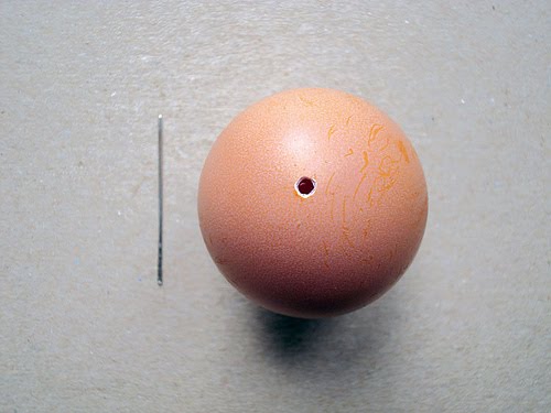 Baby Egg Projec...
