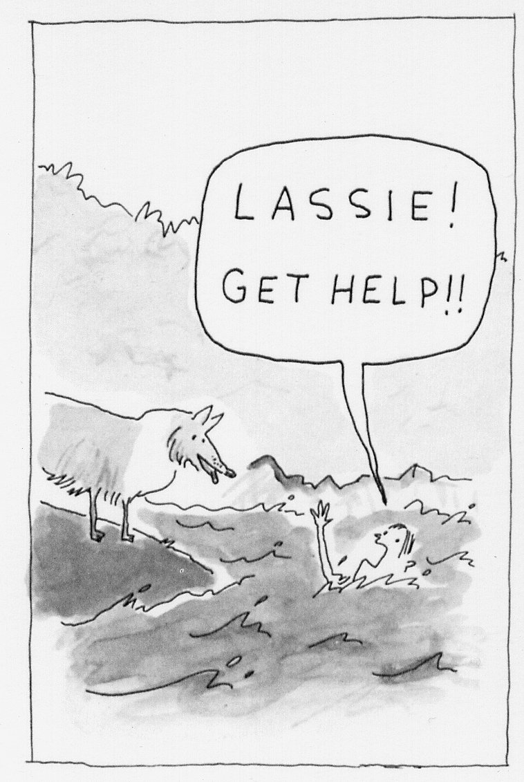 lassie get help