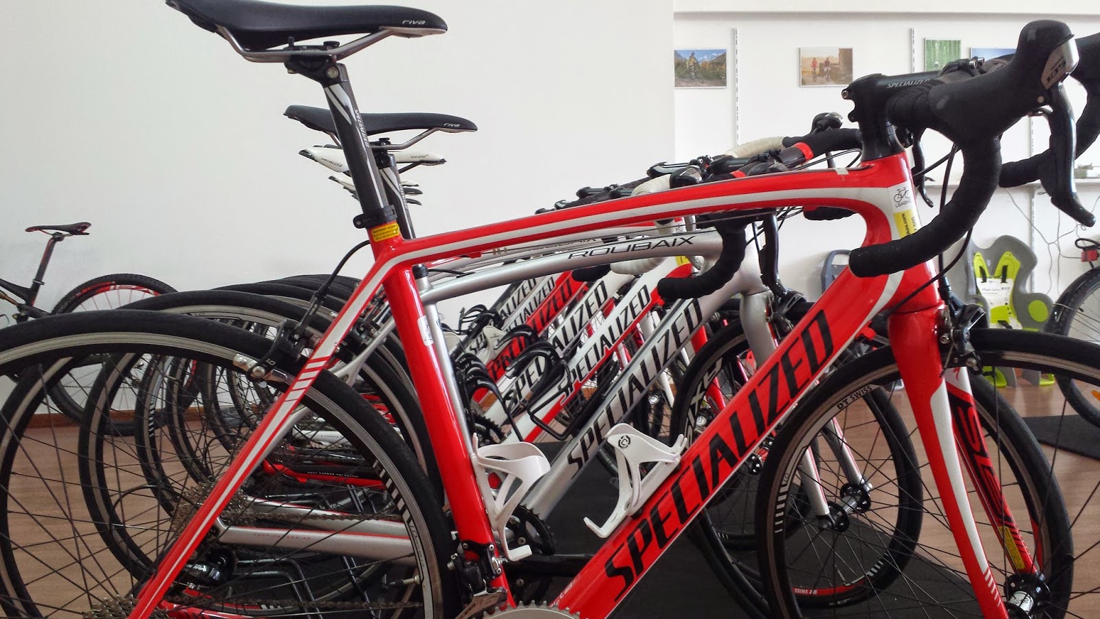 NUMBER ONE BIKE BIKE HIRE ALGARVE BIKE RENTAL AND TOURS