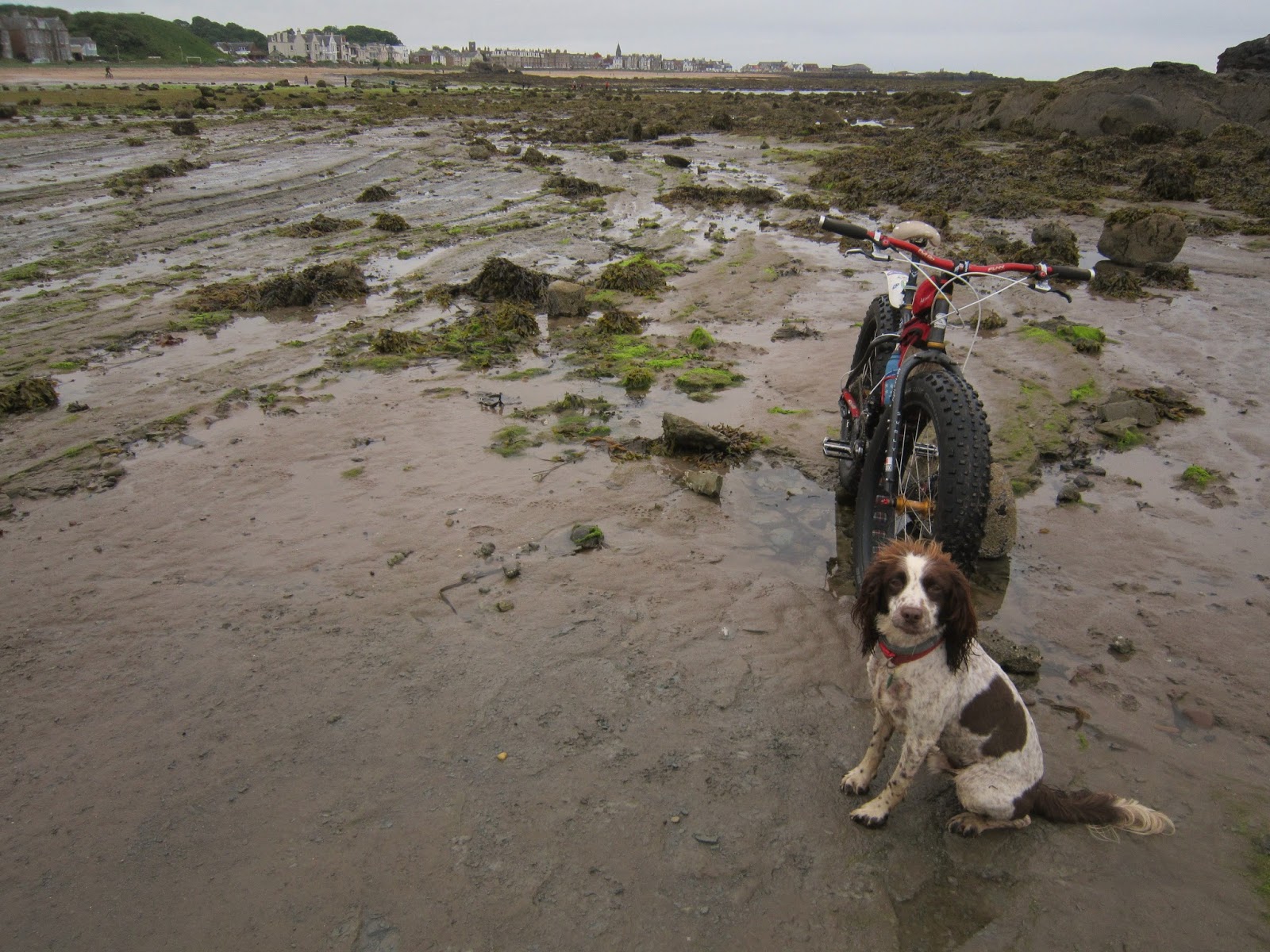 Coastrider Back On The Coast