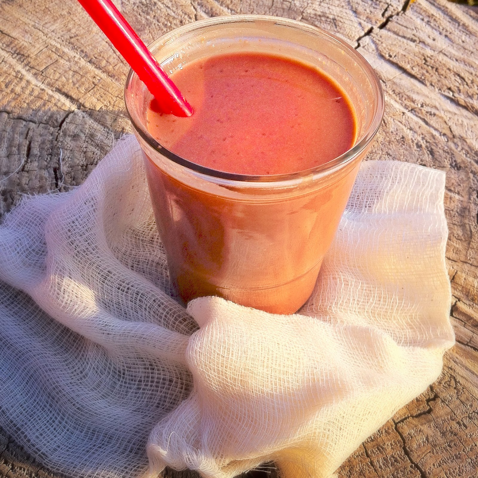 riddlelove Raw Chocolate Breakfast Shake with GAPS, Paleo, Dairy