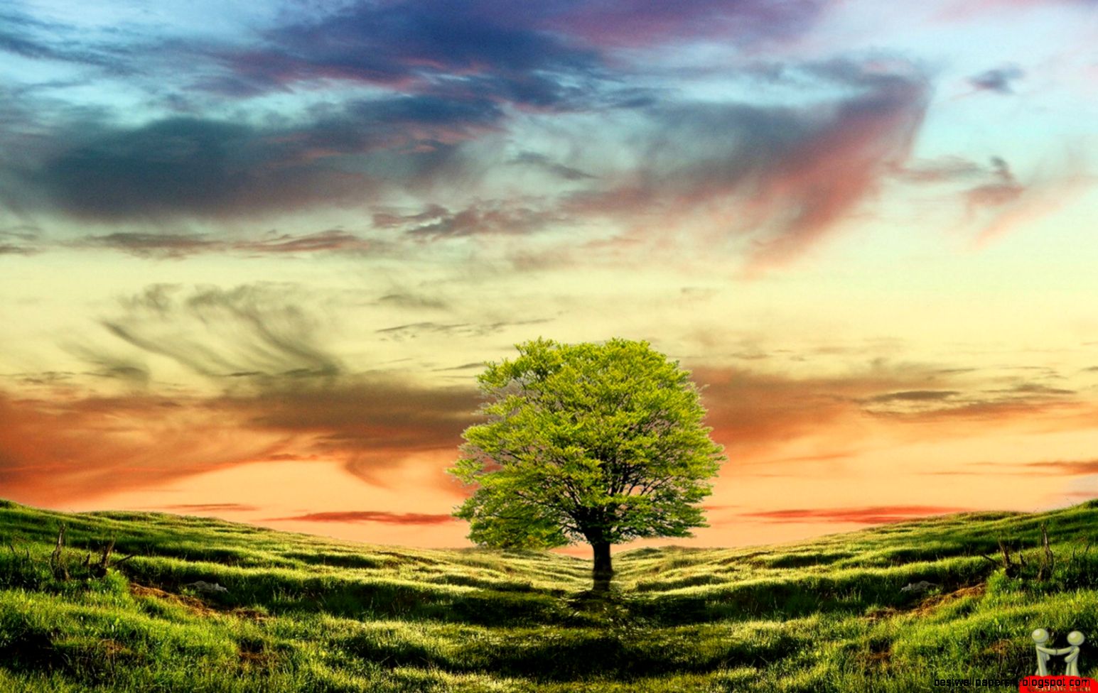 Beautiful Nature View Beautiful Nature View