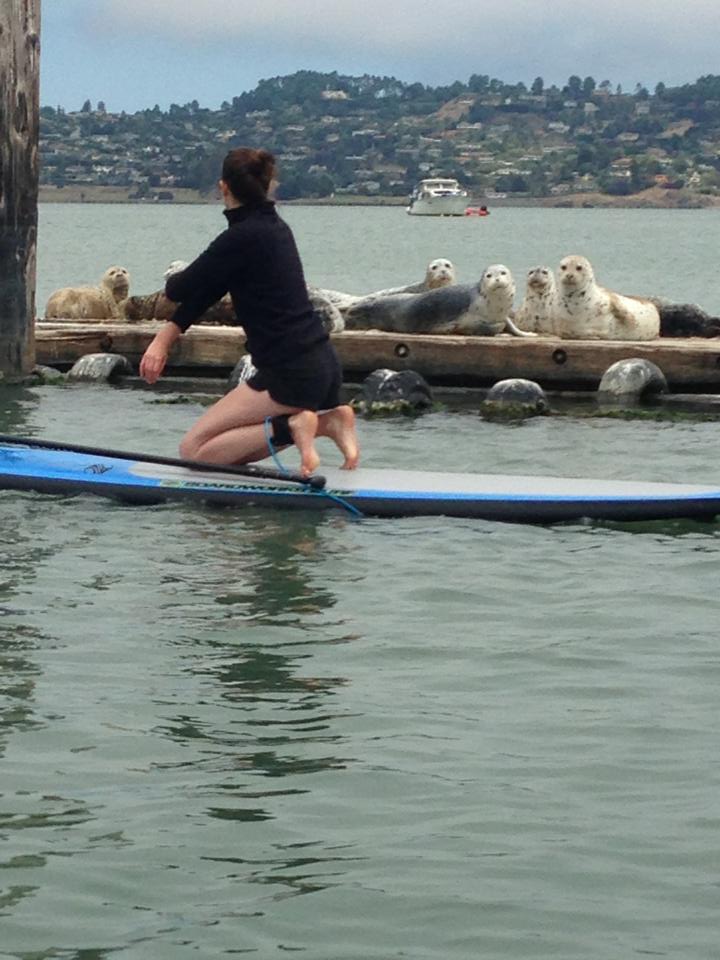 GOLDEN DREAMLAND Paddle Boarding in the Bay