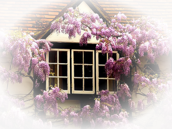 Resultado de imagen para tubes de paisajes difuminados