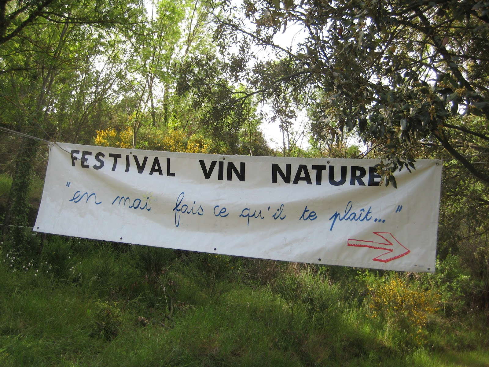 Taste Languedoc A Blog About The Wines Of The South Of France A