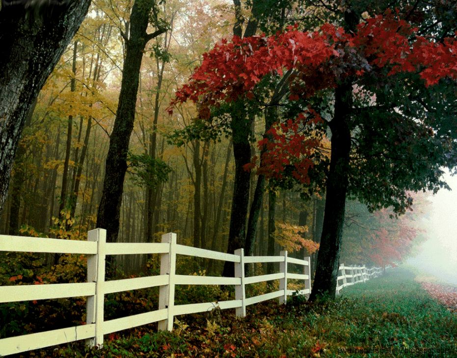 ImagesWallpapersAutumn Nature 387578 ImagesWallpapersAutumn Nature 387578