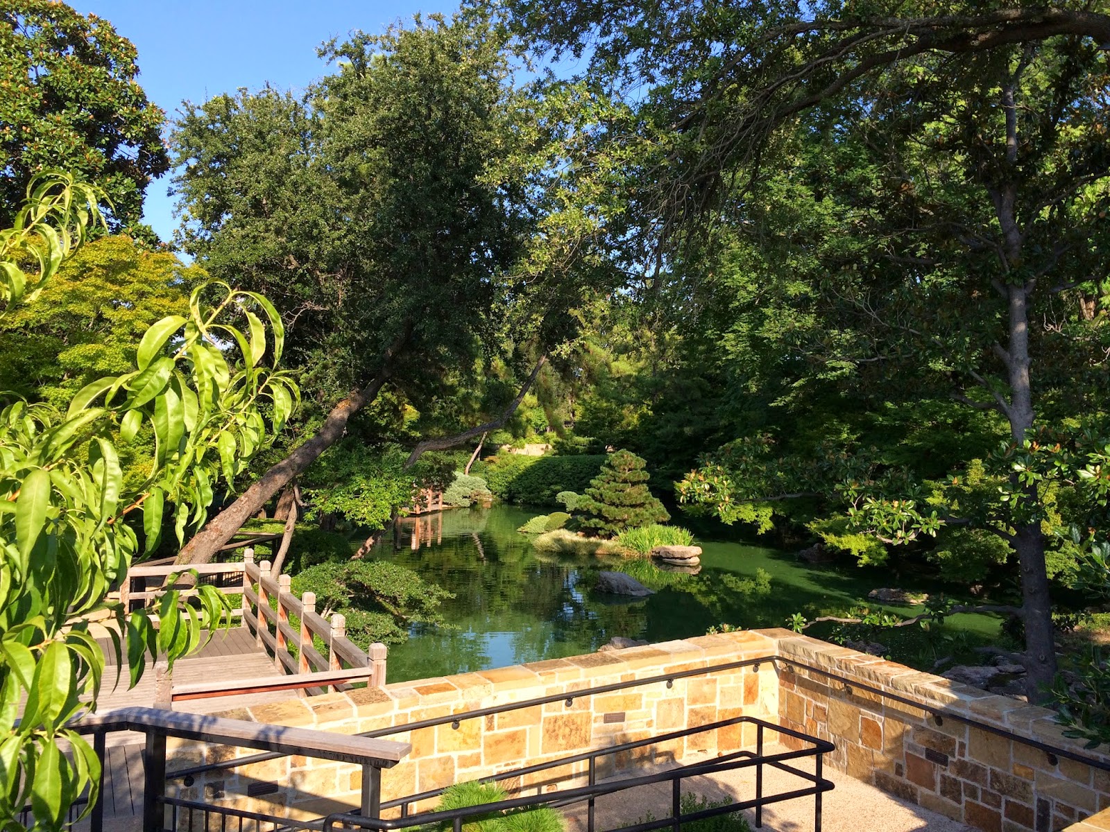 Nafisa's World Fort Worth Japanese Garden