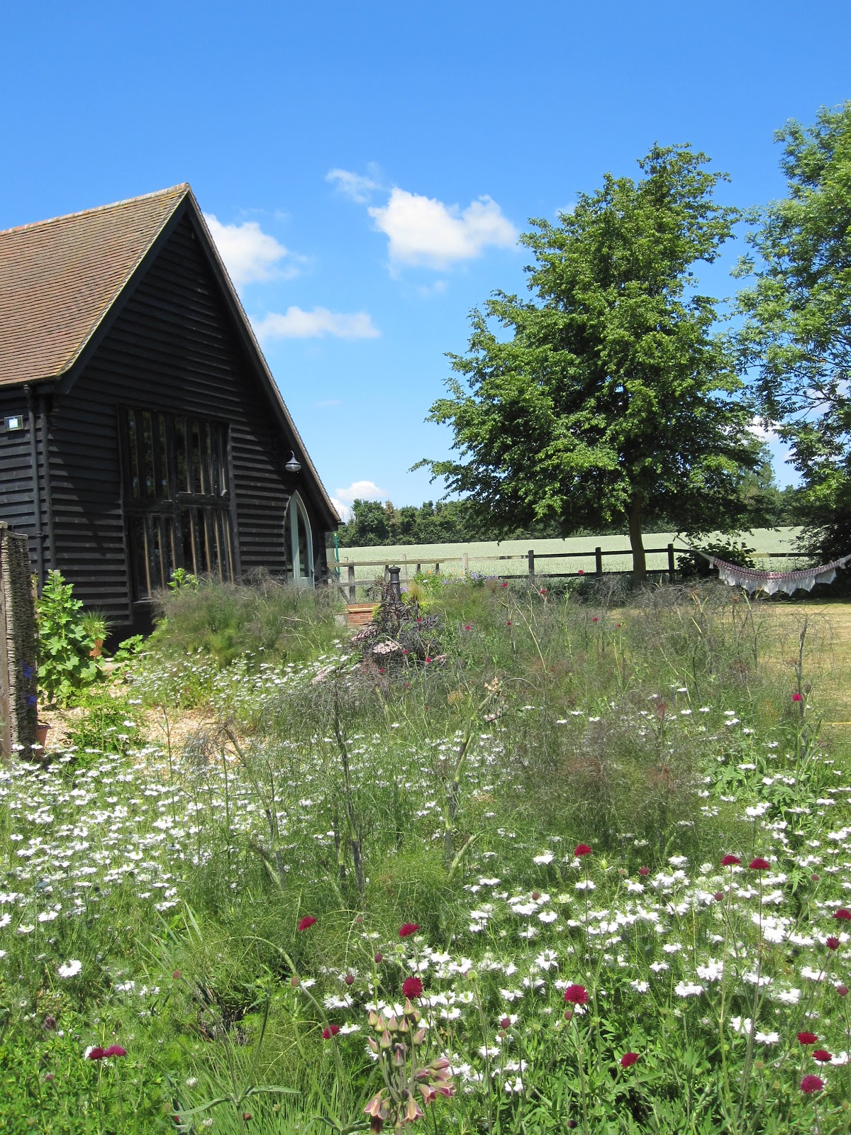 Creating a cut flower garden Wild Acre