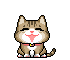Animasi Kucing Lucu