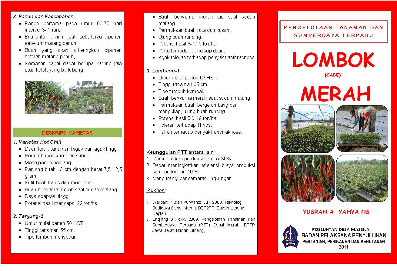 Contoh Brosur Penyuluhan Pertanian – Lakaran