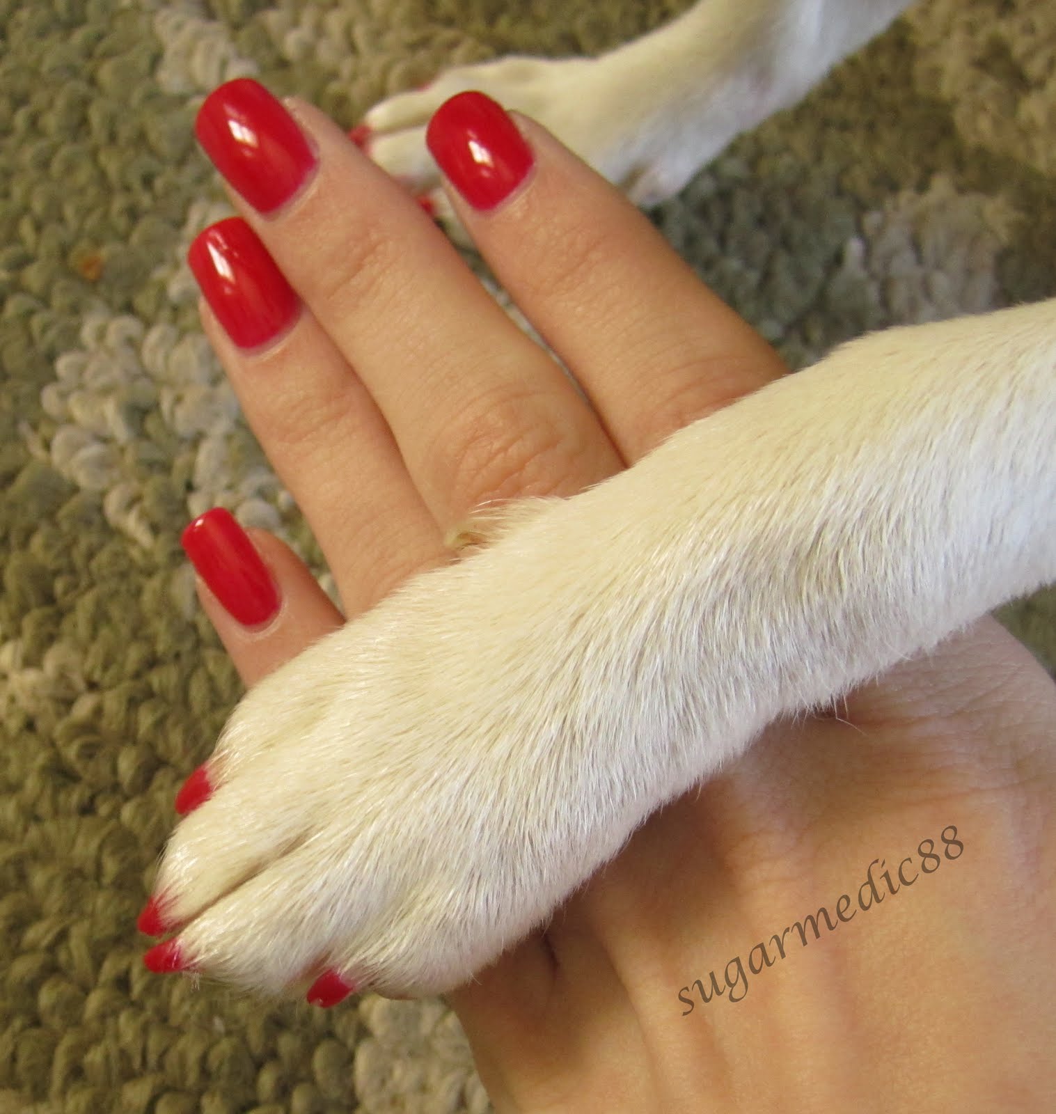 The Polished Medic Ardene Red Sapphire and Guest Nails!!